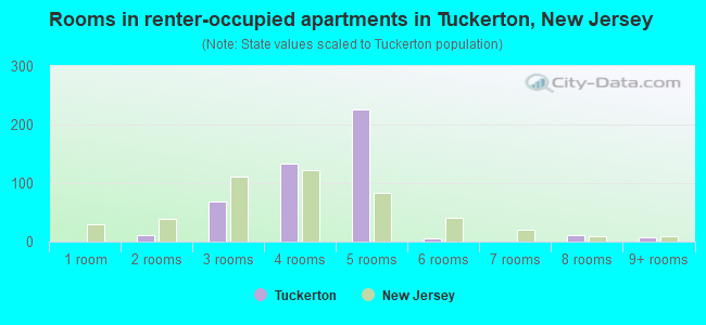 Rooms in renter-occupied apartments in Tuckerton, New Jersey
