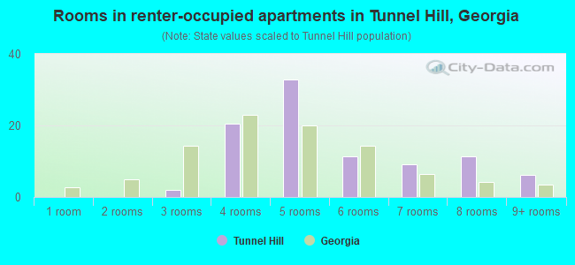 Rooms in renter-occupied apartments in Tunnel Hill, Georgia