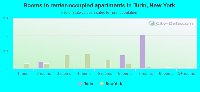 Rooms in renter-occupied apartments in Turin, New York