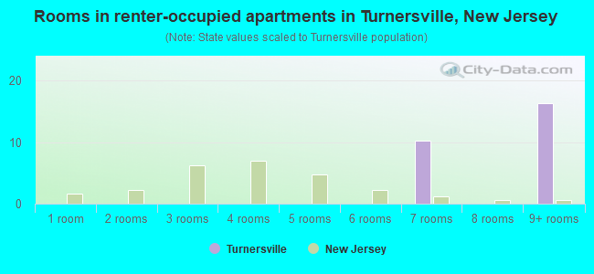 Rooms in renter-occupied apartments in Turnersville, New Jersey