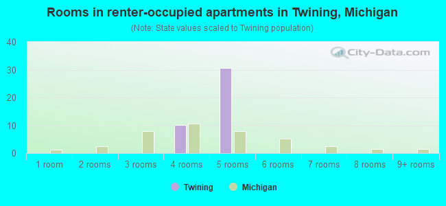 Rooms in renter-occupied apartments in Twining, Michigan