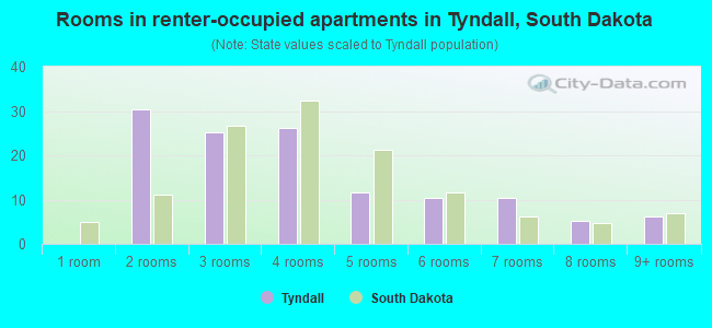 Rooms in renter-occupied apartments in Tyndall, South Dakota