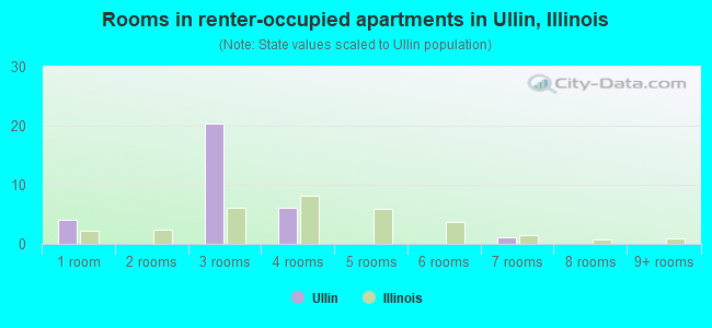Rooms in renter-occupied apartments in Ullin, Illinois