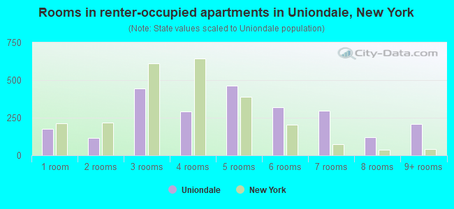 Rooms in renter-occupied apartments in Uniondale, New York