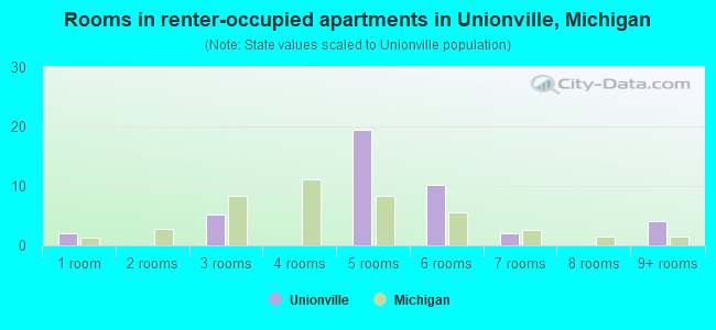 Rooms in renter-occupied apartments in Unionville, Michigan