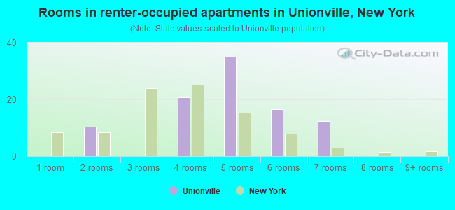 Rooms in renter-occupied apartments in Unionville, New York