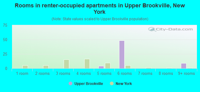 Rooms in renter-occupied apartments in Upper Brookville, New York
