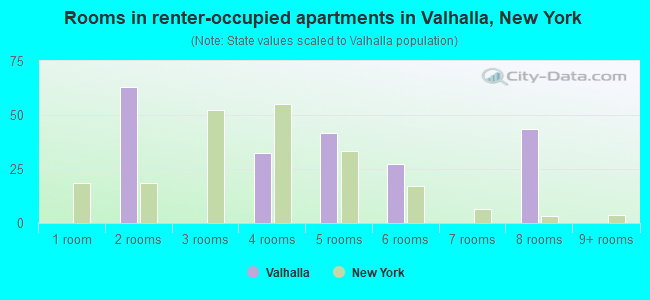 Rooms in renter-occupied apartments in Valhalla, New York