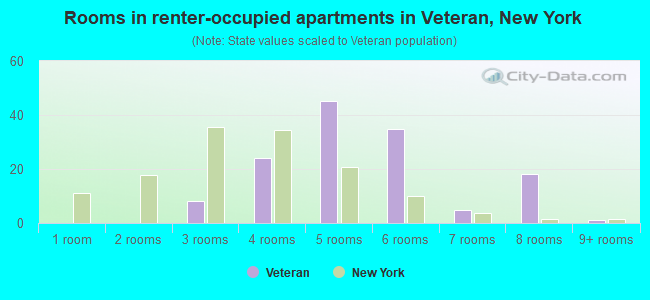 Rooms in renter-occupied apartments in Veteran, New York