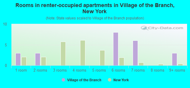 Rooms in renter-occupied apartments in Village of the Branch, New York