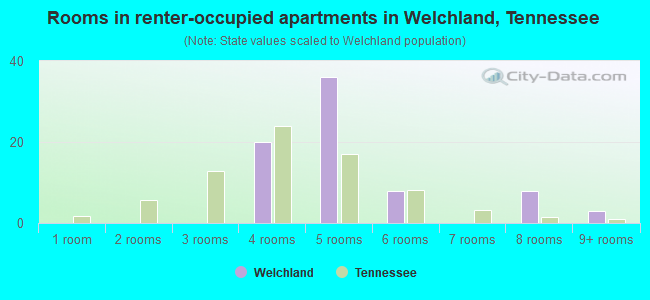 Rooms in renter-occupied apartments in Welchland, Tennessee