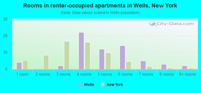 Rooms in renter-occupied apartments in Wells, New York