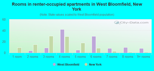 Rooms in renter-occupied apartments in West Bloomfield, New York