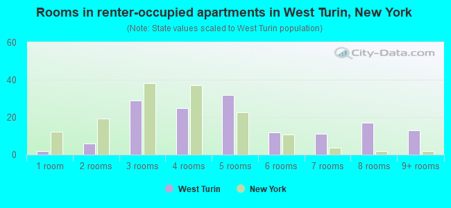 Rooms in renter-occupied apartments in West Turin, New York