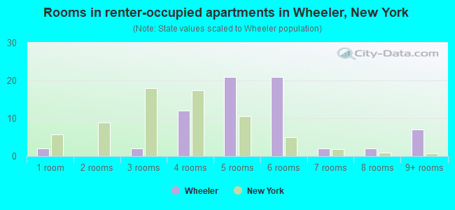 Rooms in renter-occupied apartments in Wheeler, New York