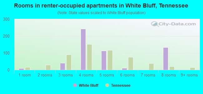 Rooms in renter-occupied apartments in White Bluff, Tennessee