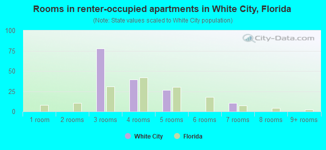 Rooms in renter-occupied apartments in White City, Florida