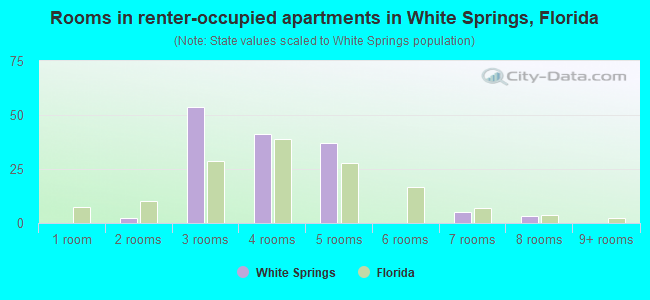 Rooms in renter-occupied apartments in White Springs, Florida