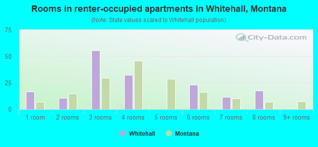 Rooms in renter-occupied apartments in Whitehall, Montana
