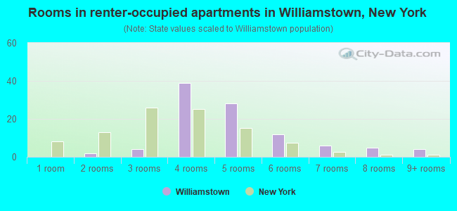 Rooms in renter-occupied apartments in Williamstown, New York