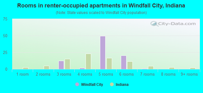 Rooms in renter-occupied apartments in Windfall City, Indiana