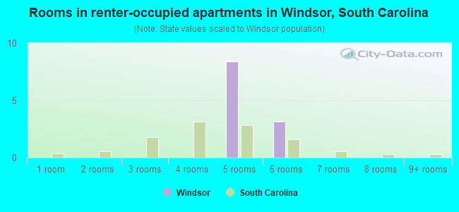 Rooms in renter-occupied apartments in Windsor, South Carolina