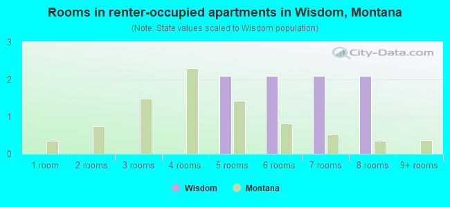 Rooms in renter-occupied apartments in Wisdom, Montana
