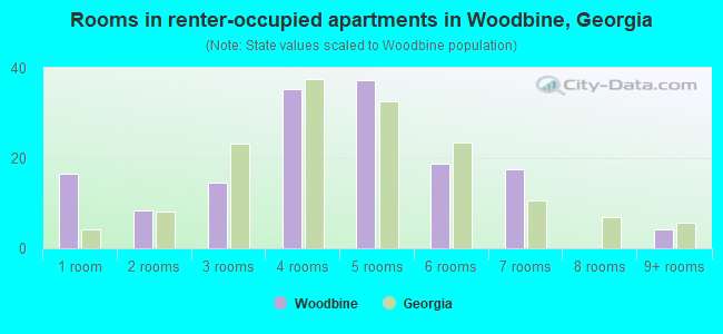 Rooms in renter-occupied apartments in Woodbine, Georgia