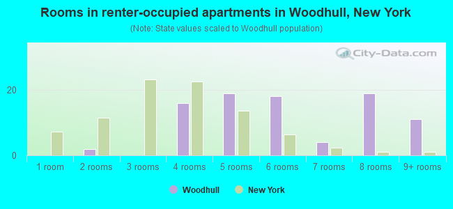 Rooms in renter-occupied apartments in Woodhull, New York