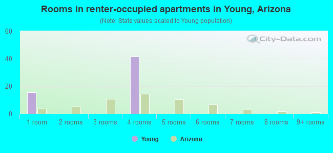 Rooms in renter-occupied apartments in Young, Arizona