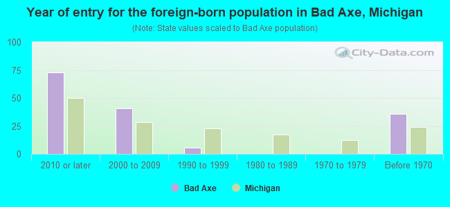 Year of entry for the foreign-born population in Bad Axe, Michigan