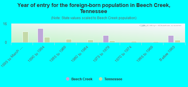 Year of entry for the foreign-born population in Beech Creek, Tennessee