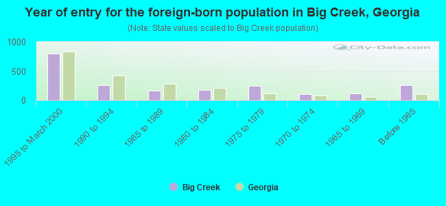 Year of entry for the foreign-born population in Big Creek, Georgia
