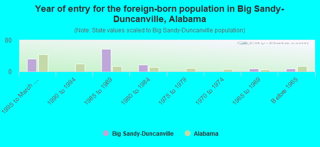 Year of entry for the foreign-born population in Big Sandy-Duncanville, Alabama