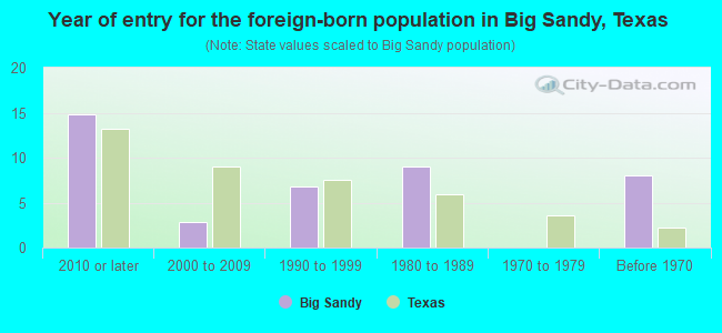Year of entry for the foreign-born population in Big Sandy, Texas