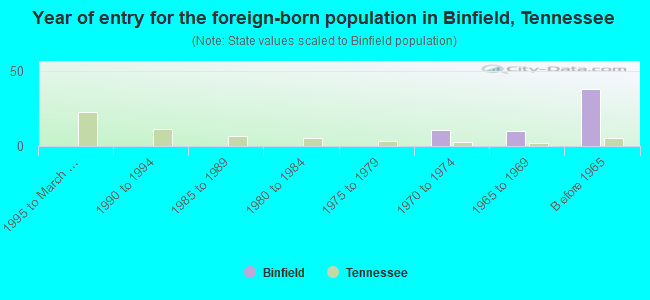 Year of entry for the foreign-born population in Binfield, Tennessee