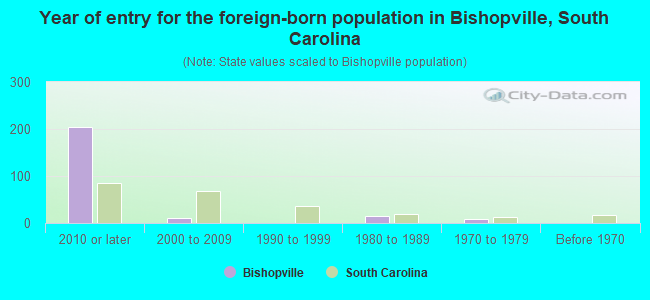Year of entry for the foreign-born population in Bishopville, South Carolina