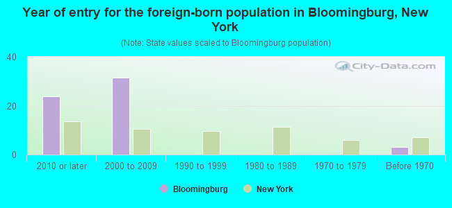 Year of entry for the foreign-born population in Bloomingburg, New York