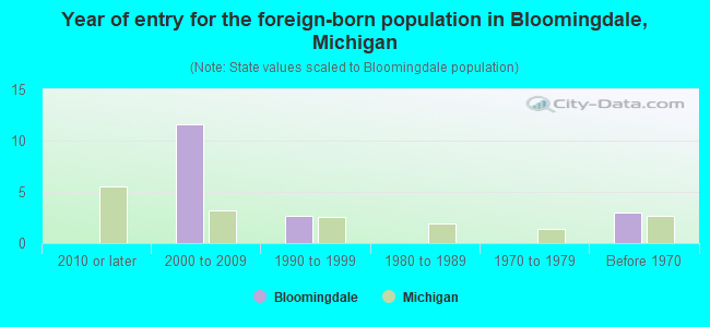 Year of entry for the foreign-born population in Bloomingdale, Michigan