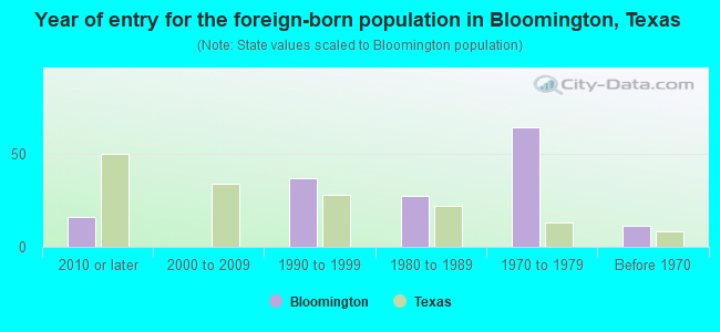 Year of entry for the foreign-born population in Bloomington, Texas