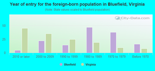 Year of entry for the foreign-born population in Bluefield, Virginia