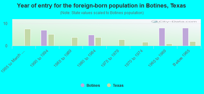 Year of entry for the foreign-born population in Botines, Texas