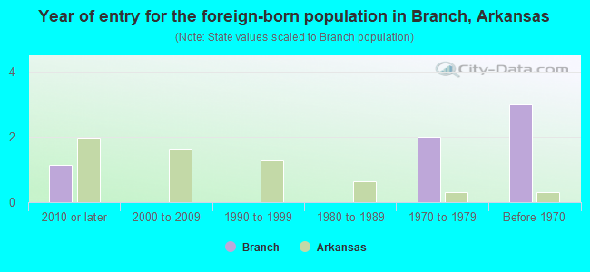 Year of entry for the foreign-born population in Branch, Arkansas