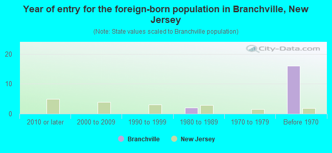 Year of entry for the foreign-born population in Branchville, New Jersey