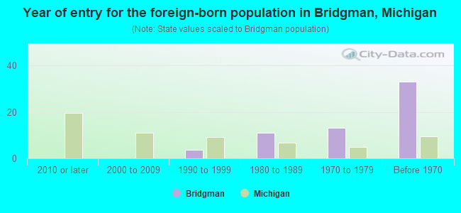 Year of entry for the foreign-born population in Bridgman, Michigan