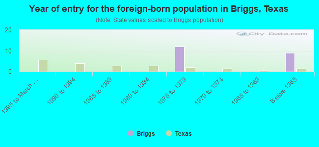 Year of entry for the foreign-born population in Briggs, Texas