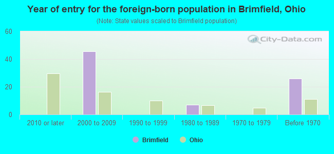 Year of entry for the foreign-born population in Brimfield, Ohio
