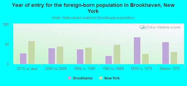 Year of entry for the foreign-born population in Brookhaven, New York