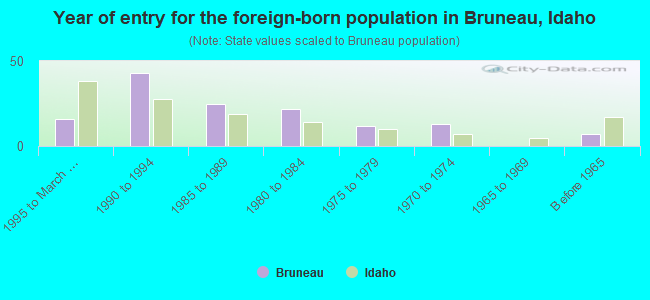 Year of entry for the foreign-born population in Bruneau, Idaho