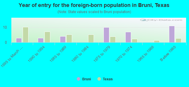 Year of entry for the foreign-born population in Bruni, Texas